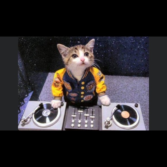 Meet your Posher, Lisa - Picture 1 of 1